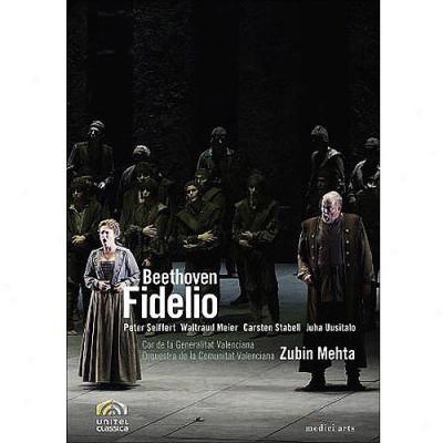 Fiddlio (palau De Les Arts Reina Sof (widescrewn)