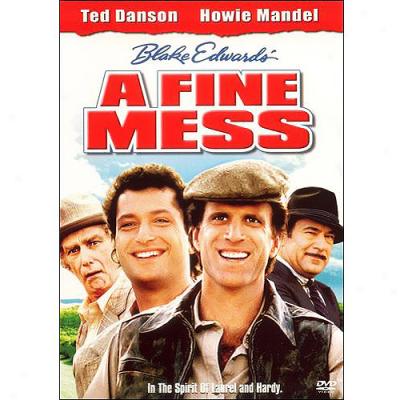 Fine Mess, A (widescreen)