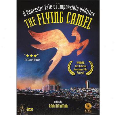 Flying Camel