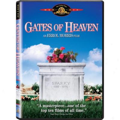 Gates Of Heaven (full Frame)