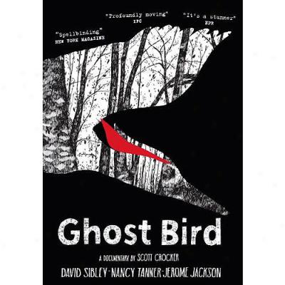 Ghost Bird