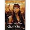 Grey Owl (widescredn)