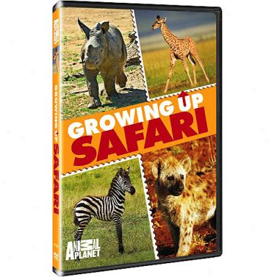 Growing Up Safari (full Frame)