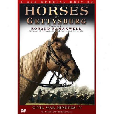 Horses Of Gettysburg: Civil War Minutes, Vol. Iv (special Edition) (widescreen)