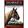 Horses Of Gettysburg (widescreen)