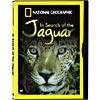 In Search Of The Jaguar (full Frame)