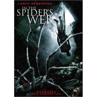 In The Spider's Web (widescreen)