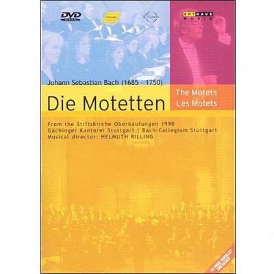 J. S. Bach: Die Motetten (the Motets)