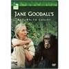 Jane Goodall: Return To Gombe (widescreen)