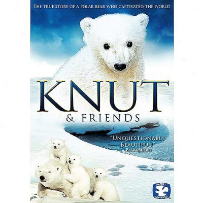 Knut & Friends (widescreen)