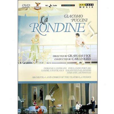 La Rondine (wifescreen)