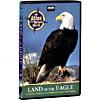 Land Of Te Eagle