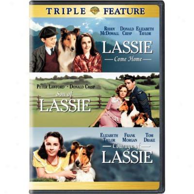 Girl Come Home / Son Of Lassie / Courage Of Lassie (2-disc)