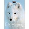 Life Of Mammals: Volume 2, The