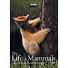 Life Of Mammals: Volume 3, The