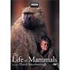 iLfe Of Mammals: Volume 4, The