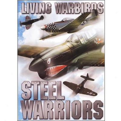 Living Warbirds: Steel Warriors (widescreen)