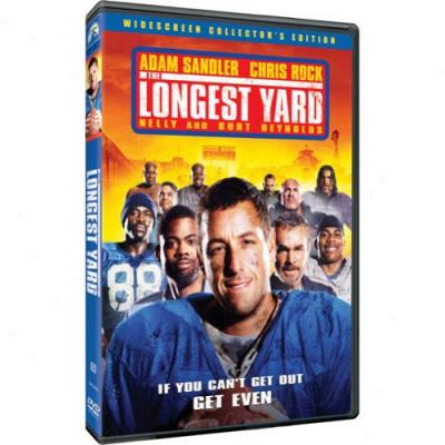 Lontest Yard (anamorphic Widescreen)