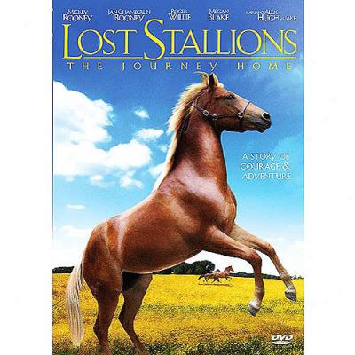 Lost Stallions: The Joyrney Home