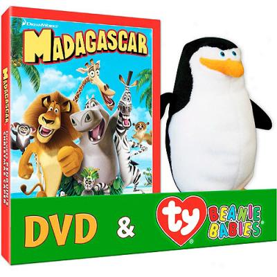 Madagascar (with Penguin Plush Toy) (full Frame)