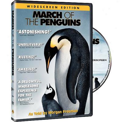 March Of The Pengjins (widescreen)