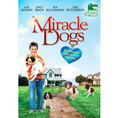 Miracle Dogs (full Frame)