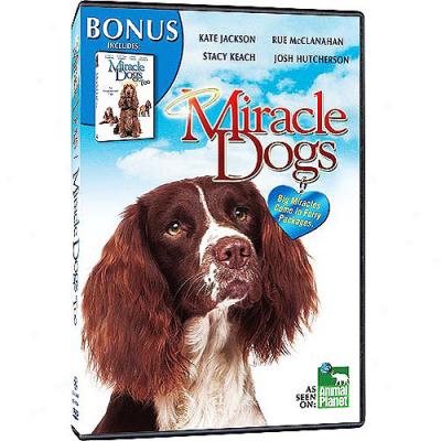 Miracle Dogs/miracle Dogs Too (full Frame)