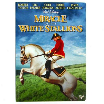 Miracle Of The White Stallions (full Frame)