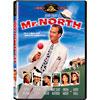 Mr. North (full Frame, Widescreen)