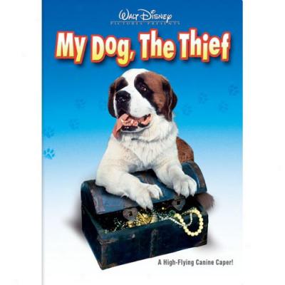 My Dog, The Thief