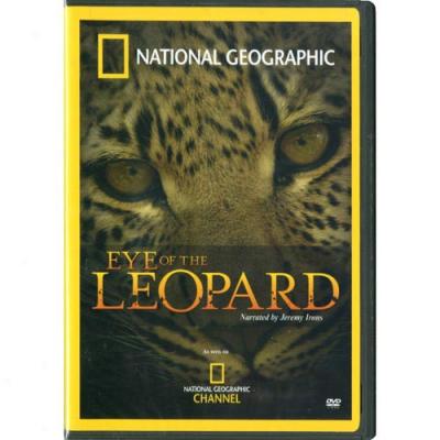 National Geographic: Eye Of The Leopard (widescreen)