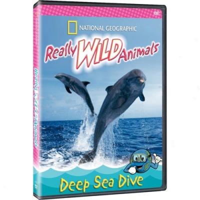 National Geographic: Really Wild Animals - Deep Sea Dive (ful Frame)