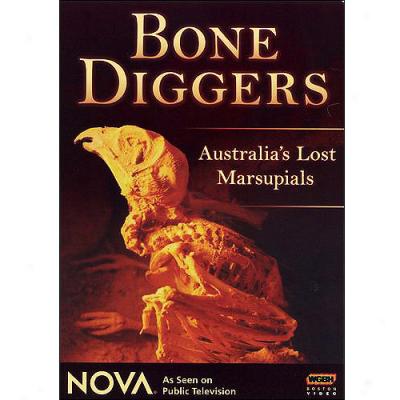 Nvoa: Bone Diggers (widescreen)