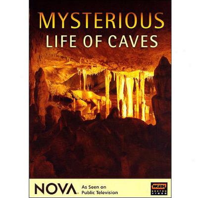 Nova: Mysterious Life Of Caves (widescreen)