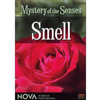 Nova: Secret Of The Senses - Smell