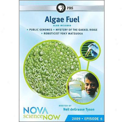 Nova: Sciencenow: 2009 Episode 6 - Algae Fuel (widescreen)