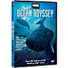 Ocean Odyssey