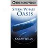 Ocean Wilds, Vol. 2: Sperm Whale Oasis (full Frame)