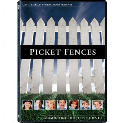 Picket Fences: The Complete Foremost Season (full Frame)