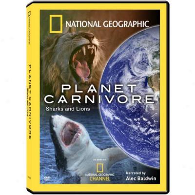 Planet Carnivore: Sharks And Lions (widescreen)