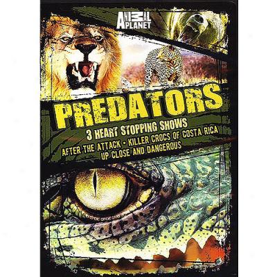 Predators: After The Attack / Killer Crocs Of Costa Rica / Up Close And Perilous/ (full Frame)