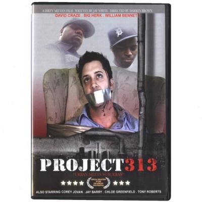 Project 313