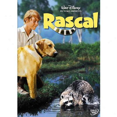 Rascal (full Frame)