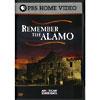 Remember The Alamo (full Frame)