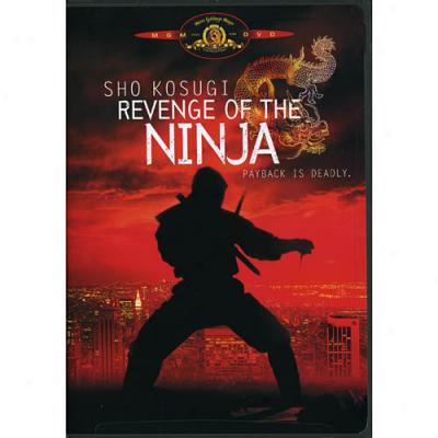 Revenge Of The Ninja