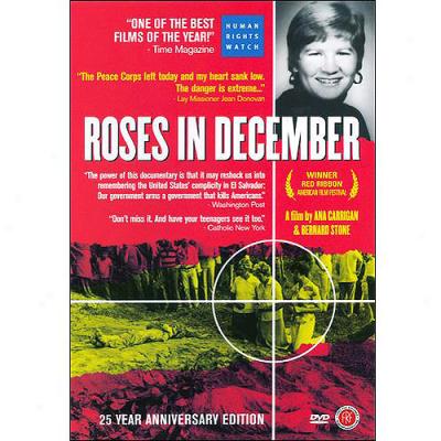 Roses In December