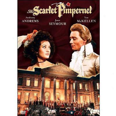 Scarlet Pimpernel (full Frame)