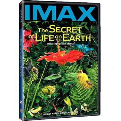 Secret Of Life On Earth, The