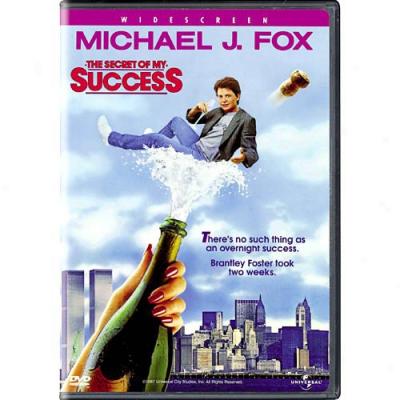 Secret Of My Success (widscreen)