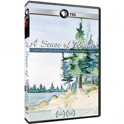 Sense Of Wonder (widescreen)